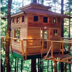 Beautiful treehouse