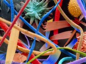 Magnified 22 million times - household dust (cat fur, twisted synthetic and woollen fibres, a pollen grain, plant, serrated insect scales and insect remains)