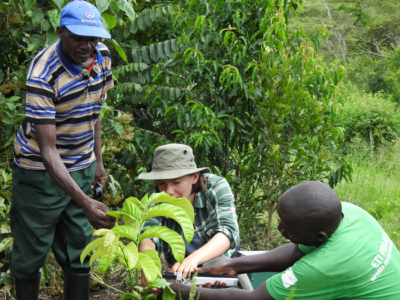 Field studies in Rwanda