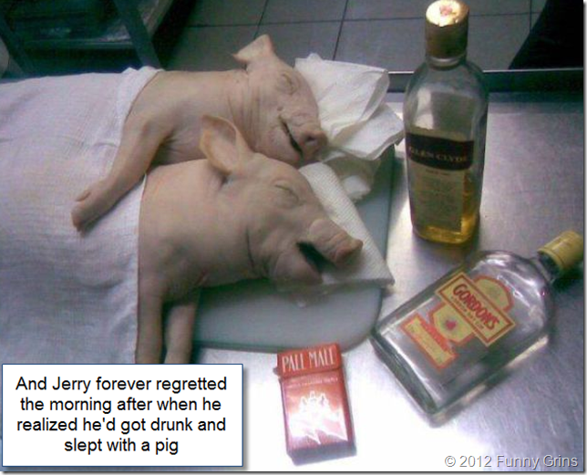 And Jerry forever regretted the morning after when he realized he'd got drunk and slept with a pig