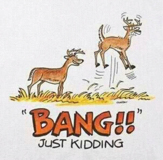 Bang! Just kidding… deer scare