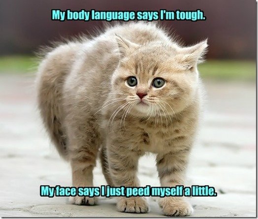 My body language says I'm tough