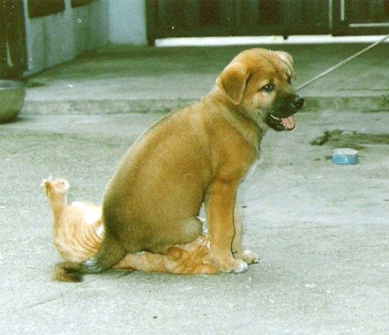 Ever had a day where you felt like this?