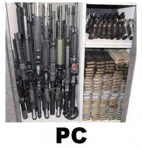 If gamer guns fit the console model
