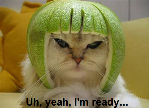 Uh, yeah, I'm ready