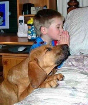 Image(19)