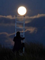 Sun_Ladder