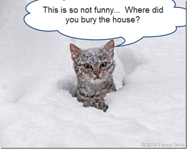 This is so not funny.  Where did you bury the house?