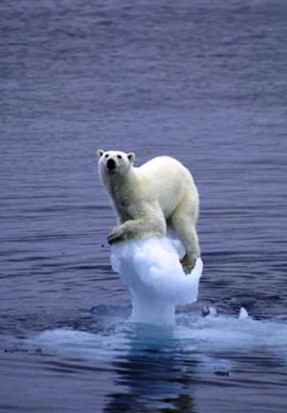 Thanks to global warming, this is what the end of the world looks like from my perspective...
