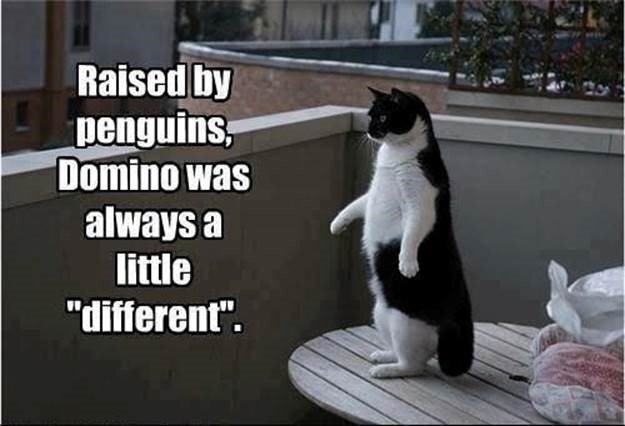 raised by penguins 1