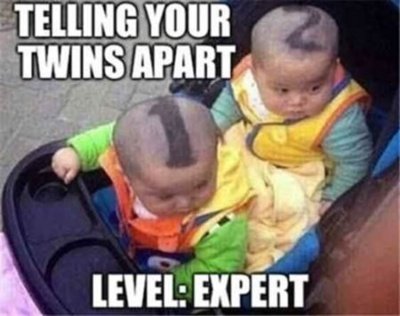 telling twins apart 1