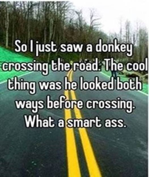 the smart ass 1