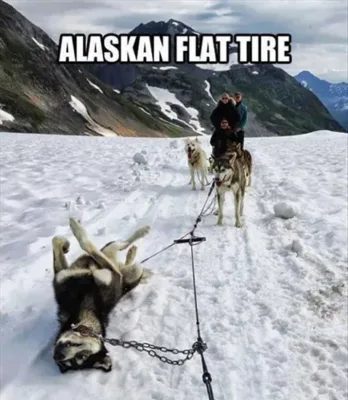 Alaskan flat tire 1 15 image thumb