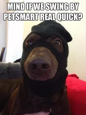 1 image thumb38