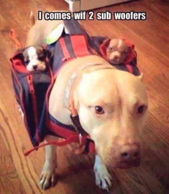 Killer sound system with two subwoofers 1 1 image thumb40