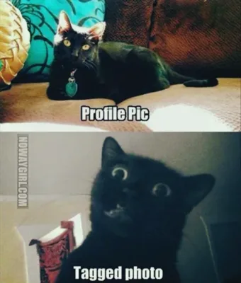 2 image thumb50