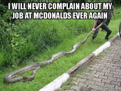 And you thought your job was bad... 1 3 image thumb11