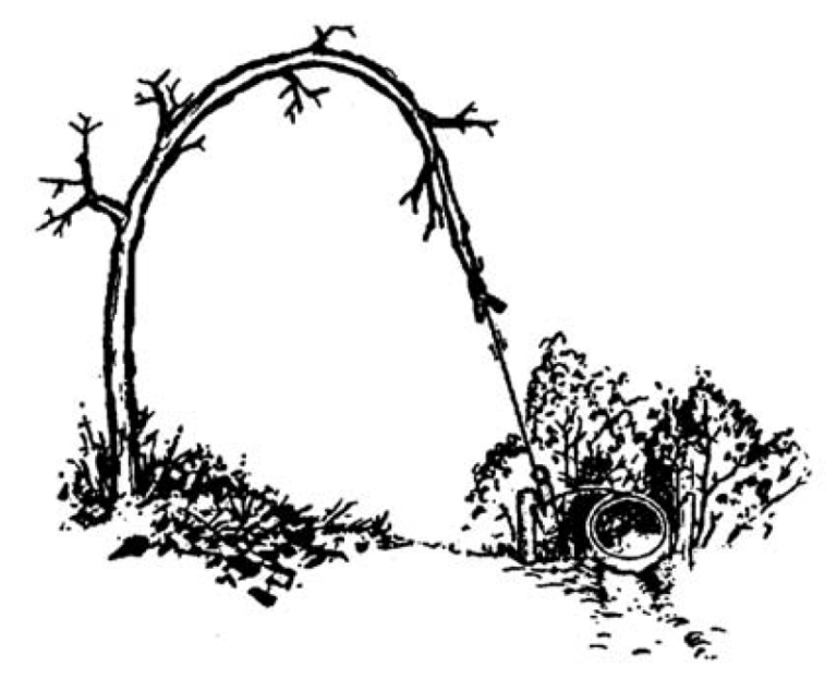 Traps And Snares - How To Build, Bait, And Place Traps To Acquire Food ...