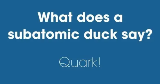 what does a subatomic duck say 550x291 1