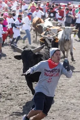 Funniest (and bravest) selfie ever 1 5 image thumb4
