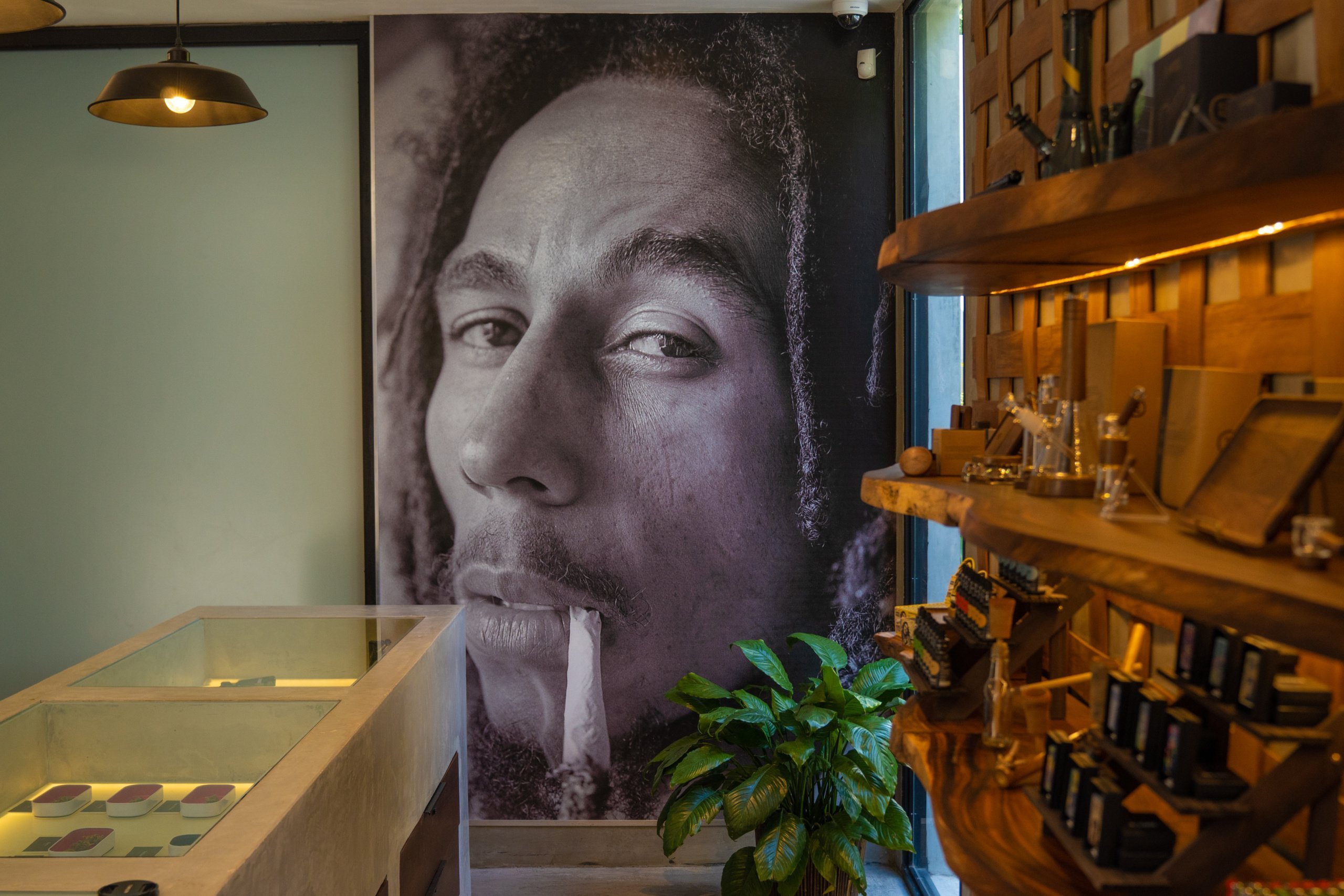 Marley_Natural_Dispensary_Jamaica_NowOpen