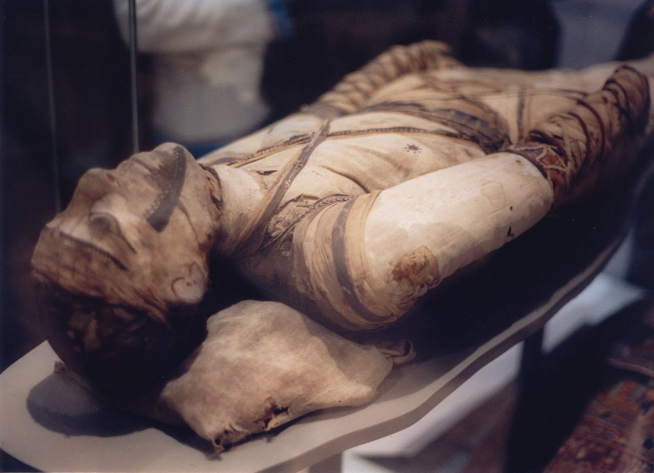 Egyptian mummy at a British museum