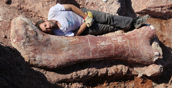 Record breaker - researchers discover world's largest dinosaur in argentina 1 1 image thumb18