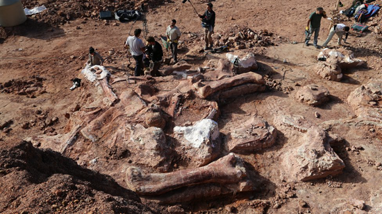 Several record-breaking dinosaurs have been found at the site in Patagonia region of Argentina