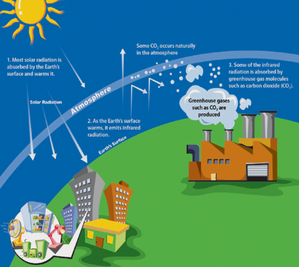 50 Things You Can Do To Help Stop Global Warming (or 50 Things You Can ...
