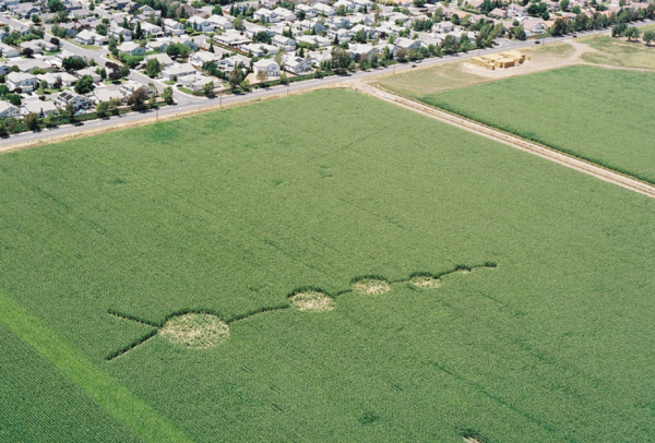 Aerial photo of crop circles in Vacaville, California