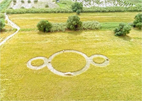 Crop Circles