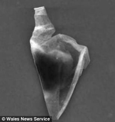 Strange alien life form discovered by British scientists in the Earth's stratosphere