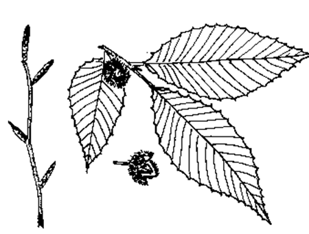 image20 thumb