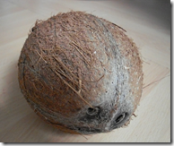 Coconut fruit