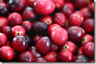 Cranberry fruit