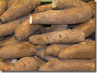 Manioc roots