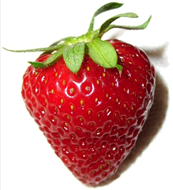 Strawberry fruit