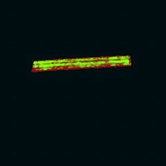 Laredo Texas UFO closeup