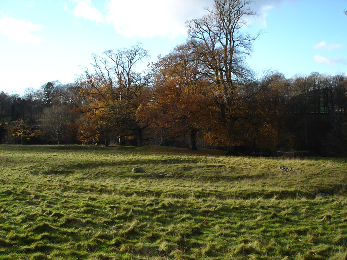 4,000-year-old plague dna found - the oldest evidence of the plague in britain. 1 Levens ring cairn where plague DNA was found