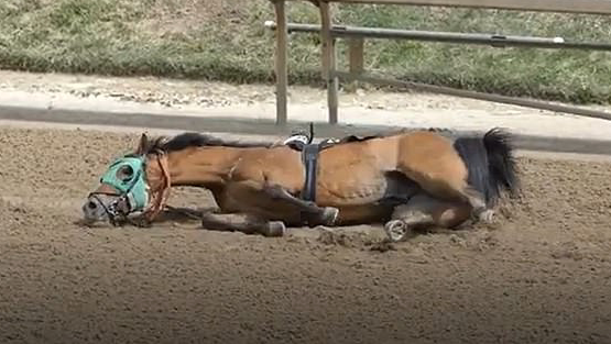 Lost in Limbo death at Churchill Downs