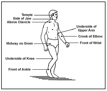 Pressure points on the human body