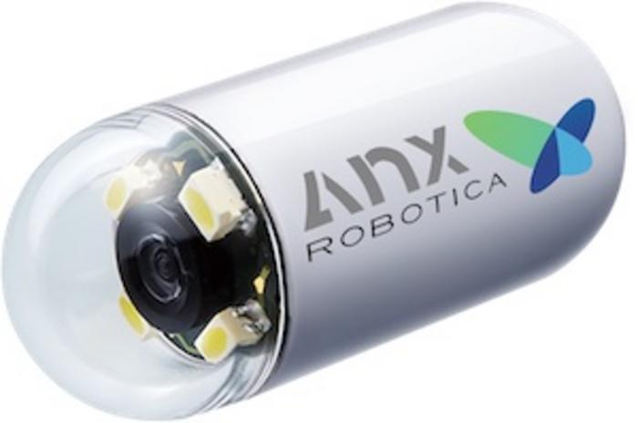 Low Res AnX Capsule
