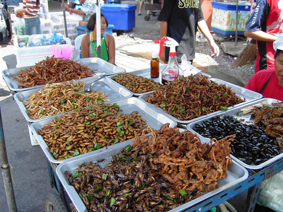 Various types of insects and bugs for sale to eat in a foreign market