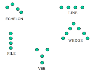 Types of movement formations - echelon, line, wedge, vee