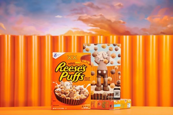 KAWSPUFFS1
