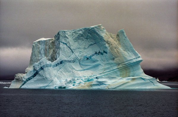 Franz Josef Fjord, Iceberg