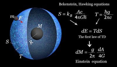 The file demonstrates the way of thinking of the entropic gravity, holographic principle, entropy distribution, and derivation of Einstein GR equations from these considerations
