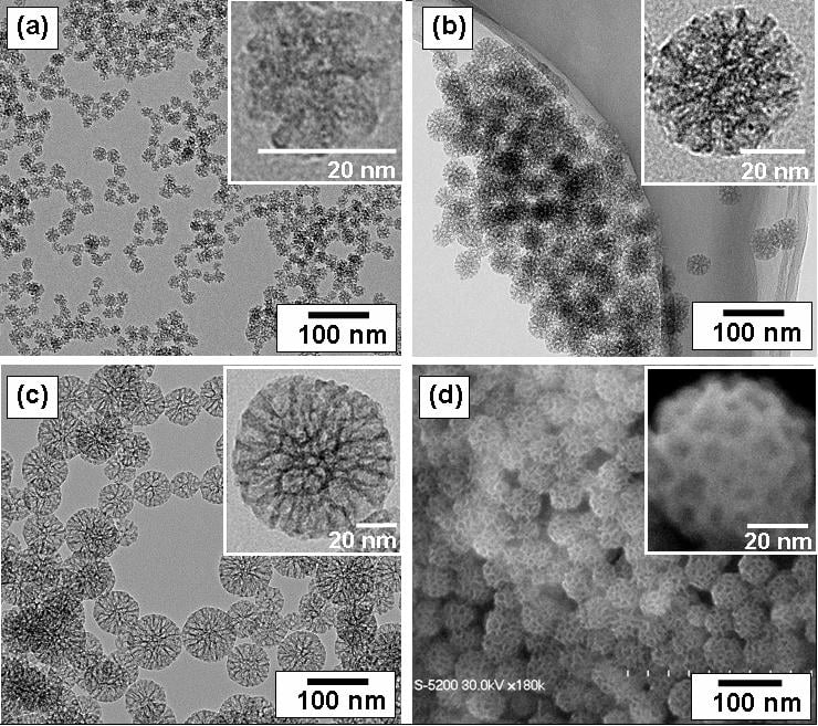 Oecd roadmap reveals how nanoparticles move through our bodies 1 Mesoporous Silica Nanoparticles