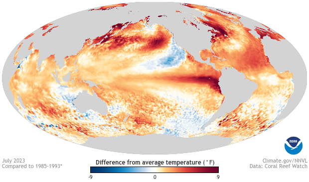 El niño’s brutal 2023-24 hot drought hints at tropical forests’ new normal 1 Sea Surface anomalies across the Earth in July 2023 during the 2023-2024 El Niño event