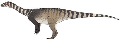 Life reconstruction of Musango matusadonaensis